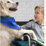 Understanding Service Animals vs. Emotional Support Animals: Benefits for Kids and Etiquette Tips